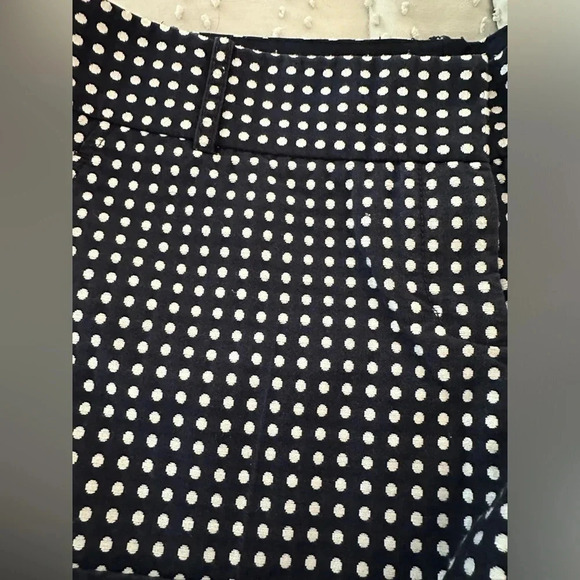 The Limited Brand Navy & White polka dot short shorts. Size 8 - Picture 2 of 5